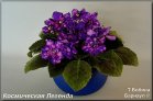 АЕ-Космическая Легенда