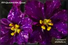 Ан-Цыганская Душа