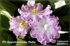ПТ-Хрустальная Леди