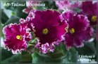 АВ-Тайны Востока