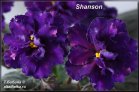 Shanson