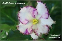 ВаТ-Белоснежка