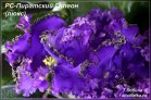 РС-Пиратский Галеон (люкс)