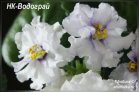 НК-Водограй
