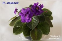 Н-Хакасия