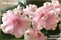 РМ-Весна