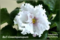 ВаТ-Спектропирит