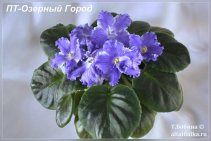 ПТ-Озерный Город